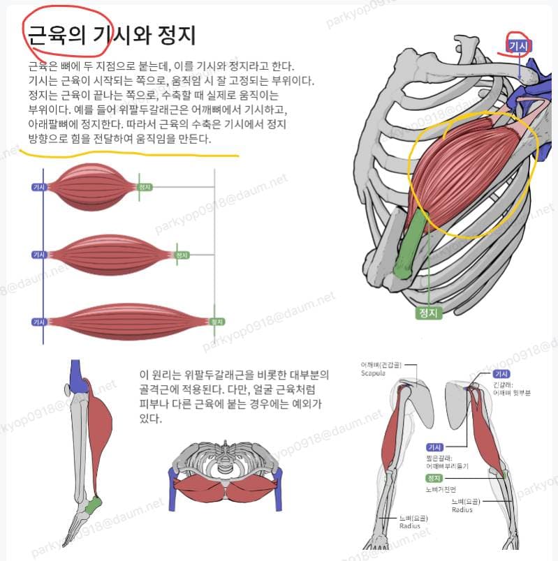 PDF · 노트 · 필기 3